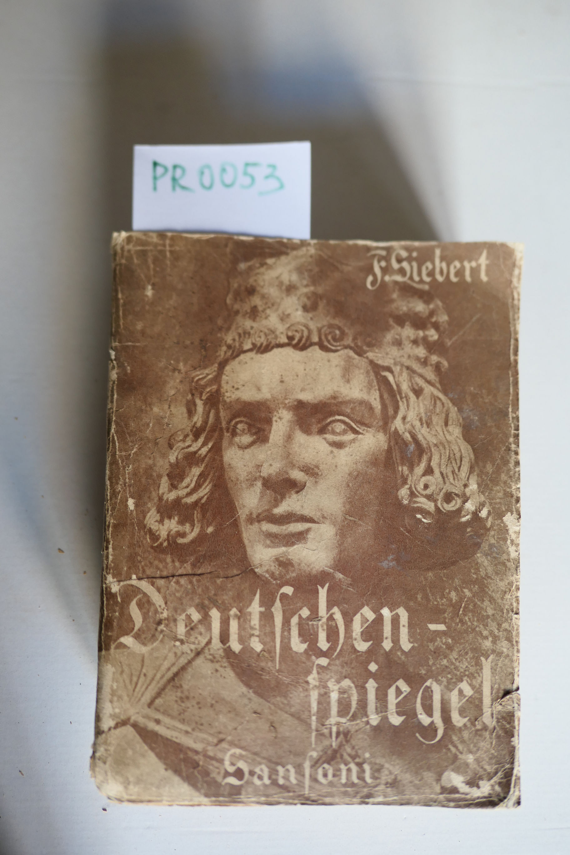 Deutschenspiegel ein Lesebuch