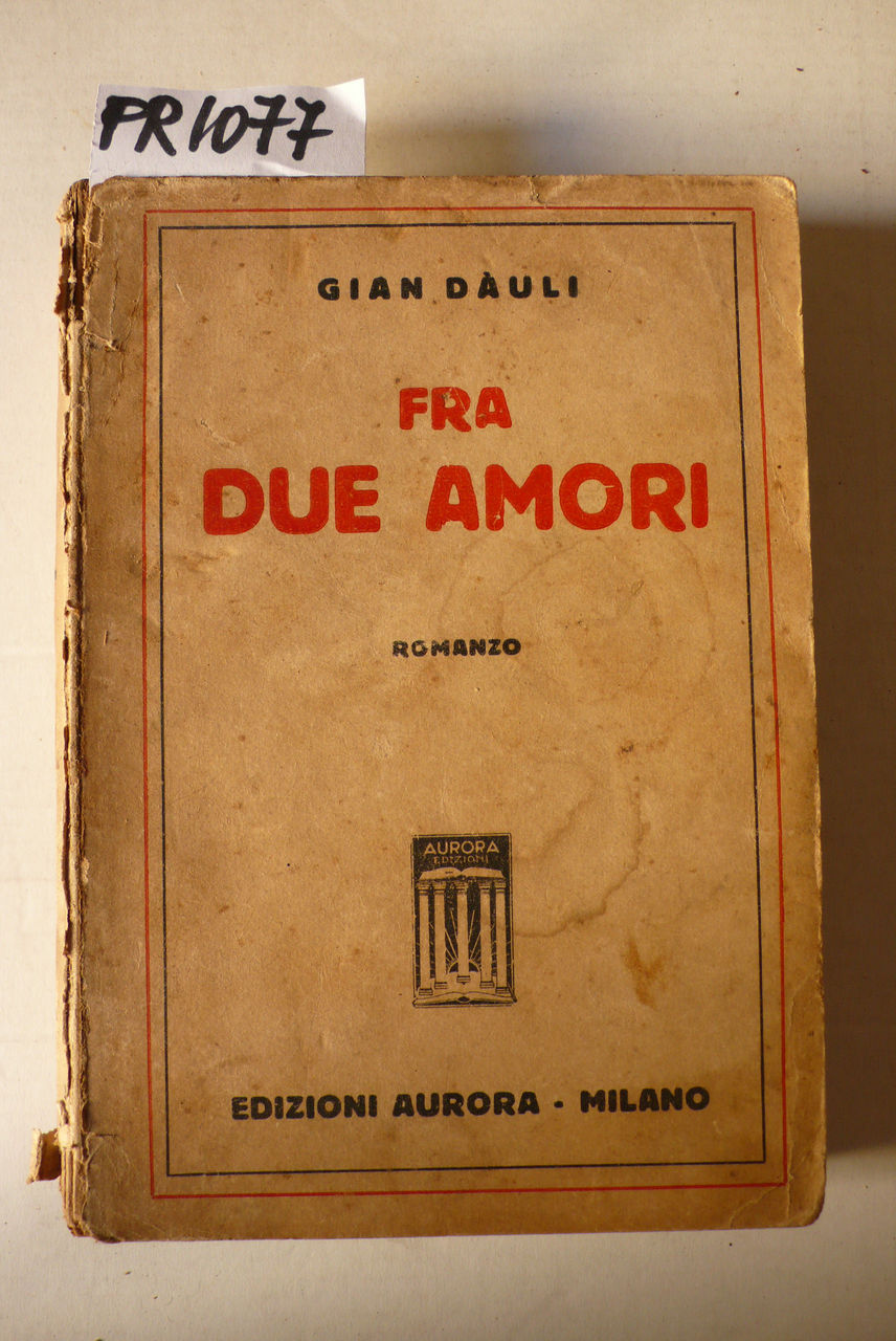 Fra due amori, romanzo