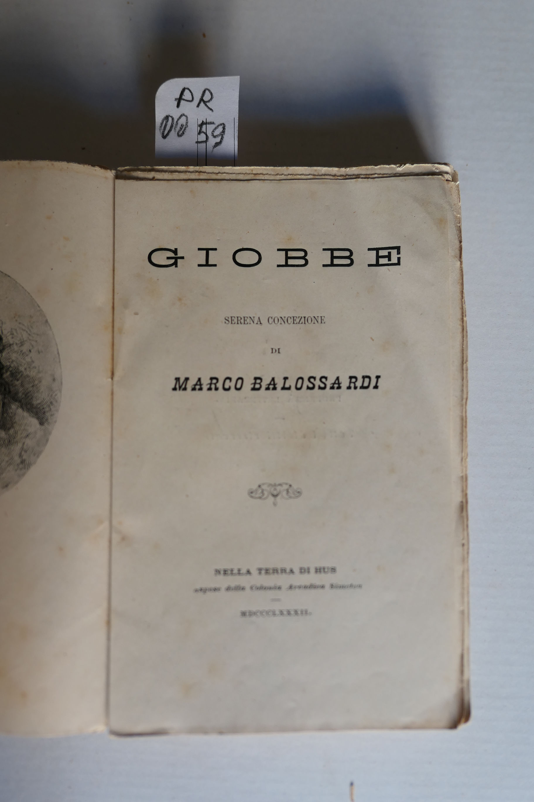 Giobbe, serena concezione