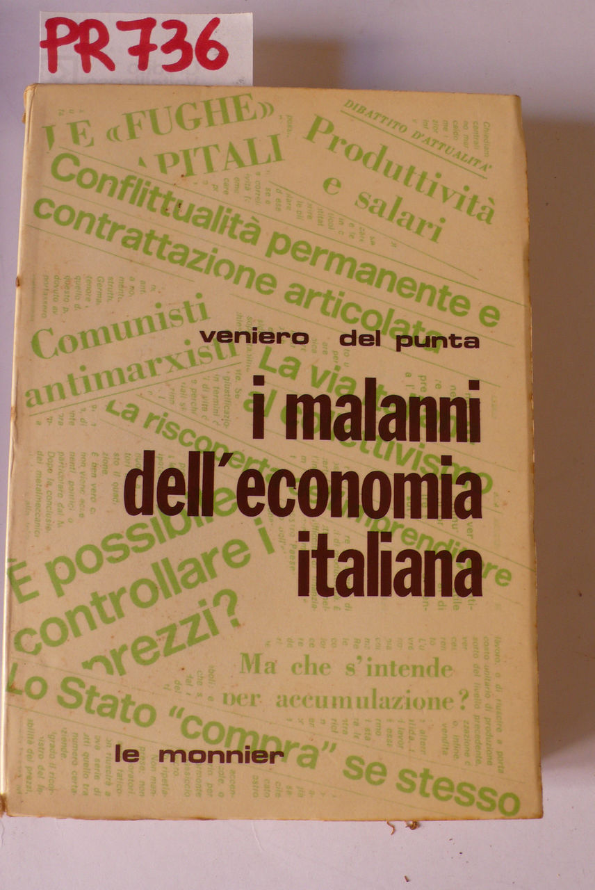I malanni dell'economia italiana, la crisi economica era prevedibile