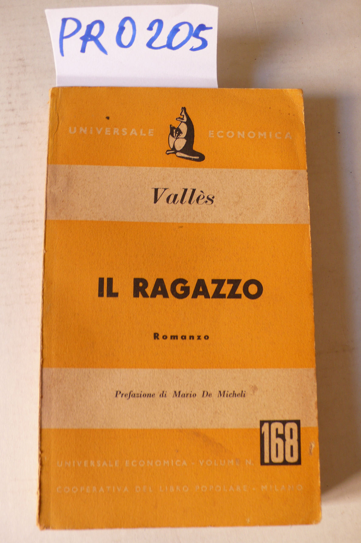 Il ragazzo, romanzo