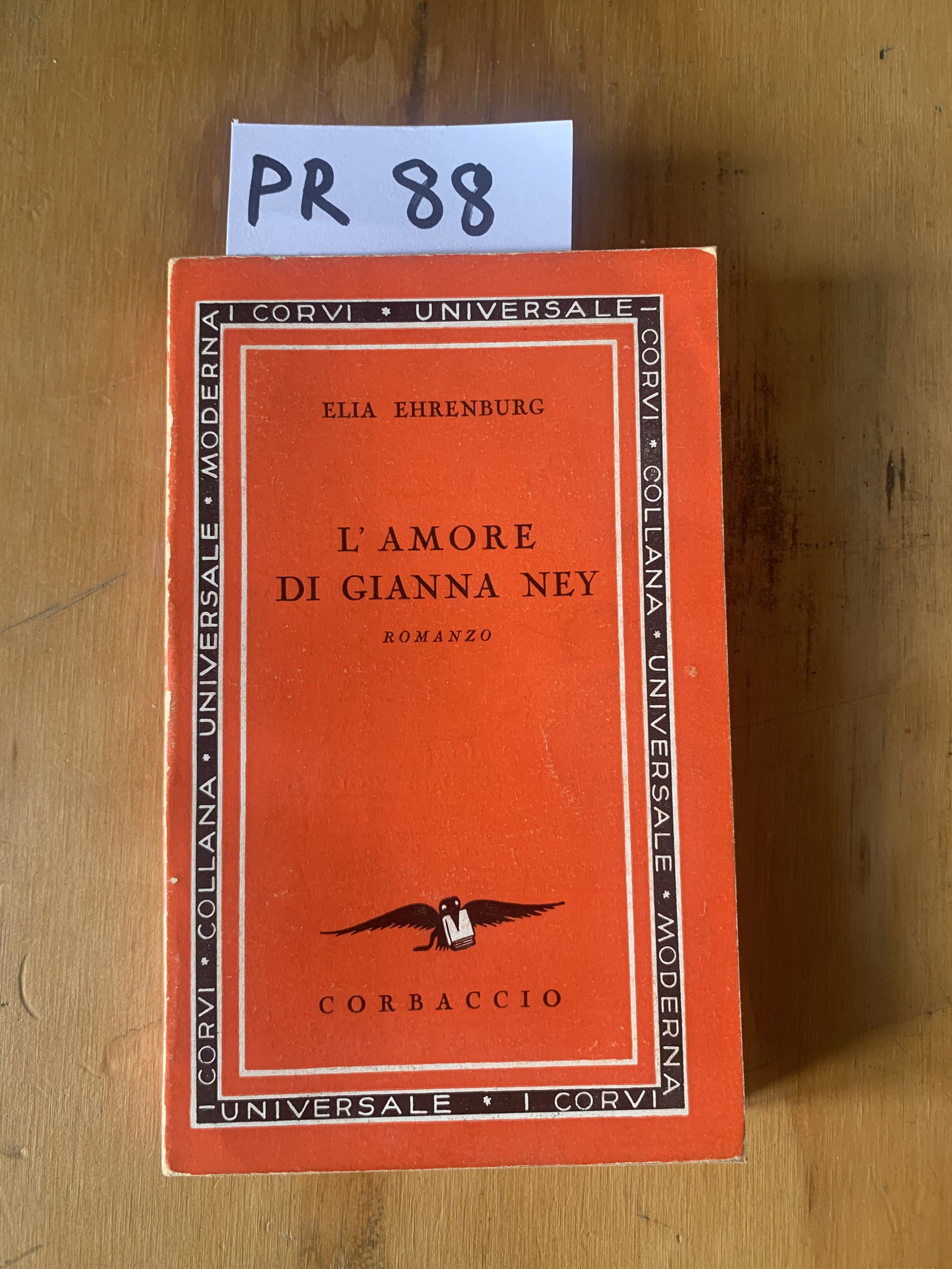 L'amore di Gianna Ney, romanzo