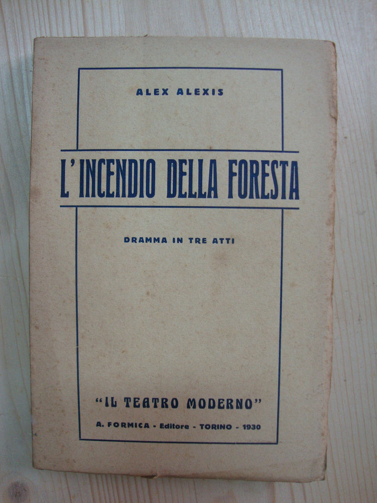 L'incendio della foresta