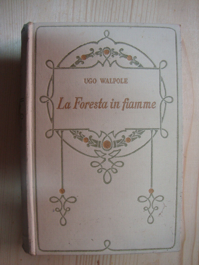 La foresta in fiamme