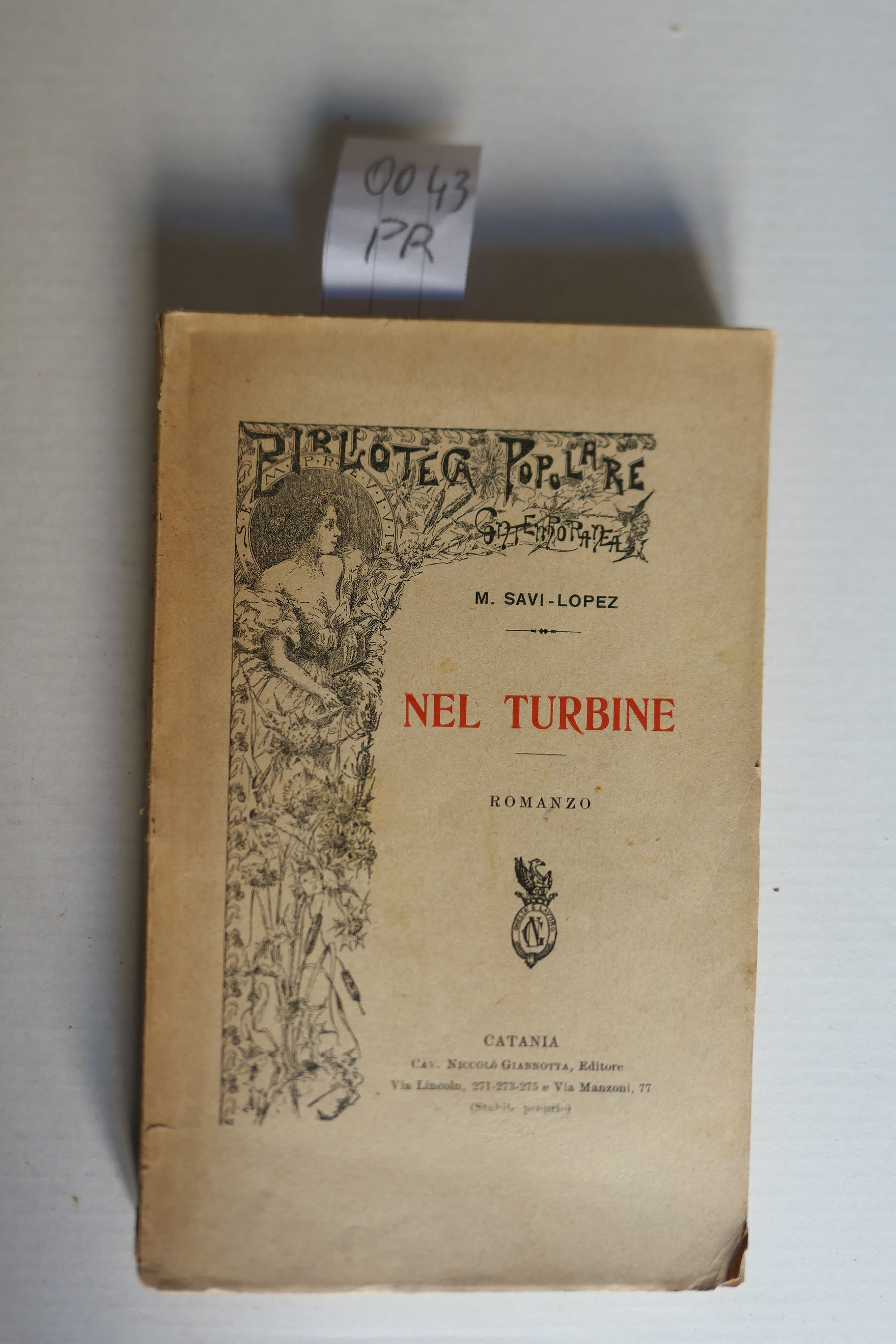 Nel turbine, romanzo