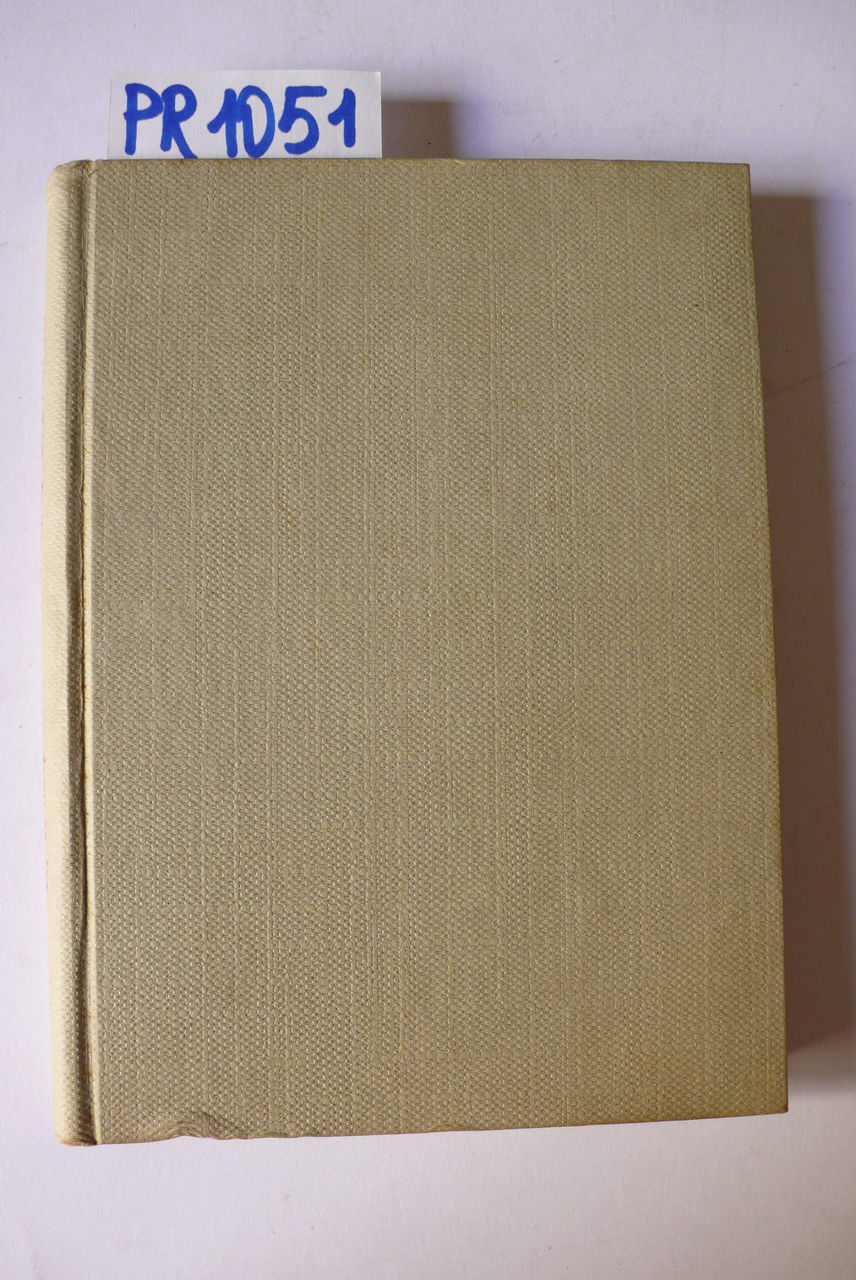 Pietro e Giovanni, romanzo