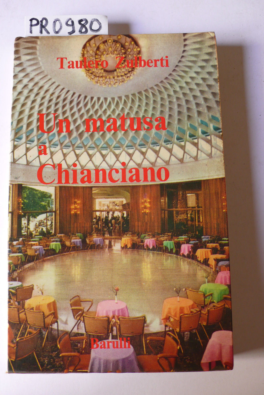 Un matusa a Chianciano, romanzo