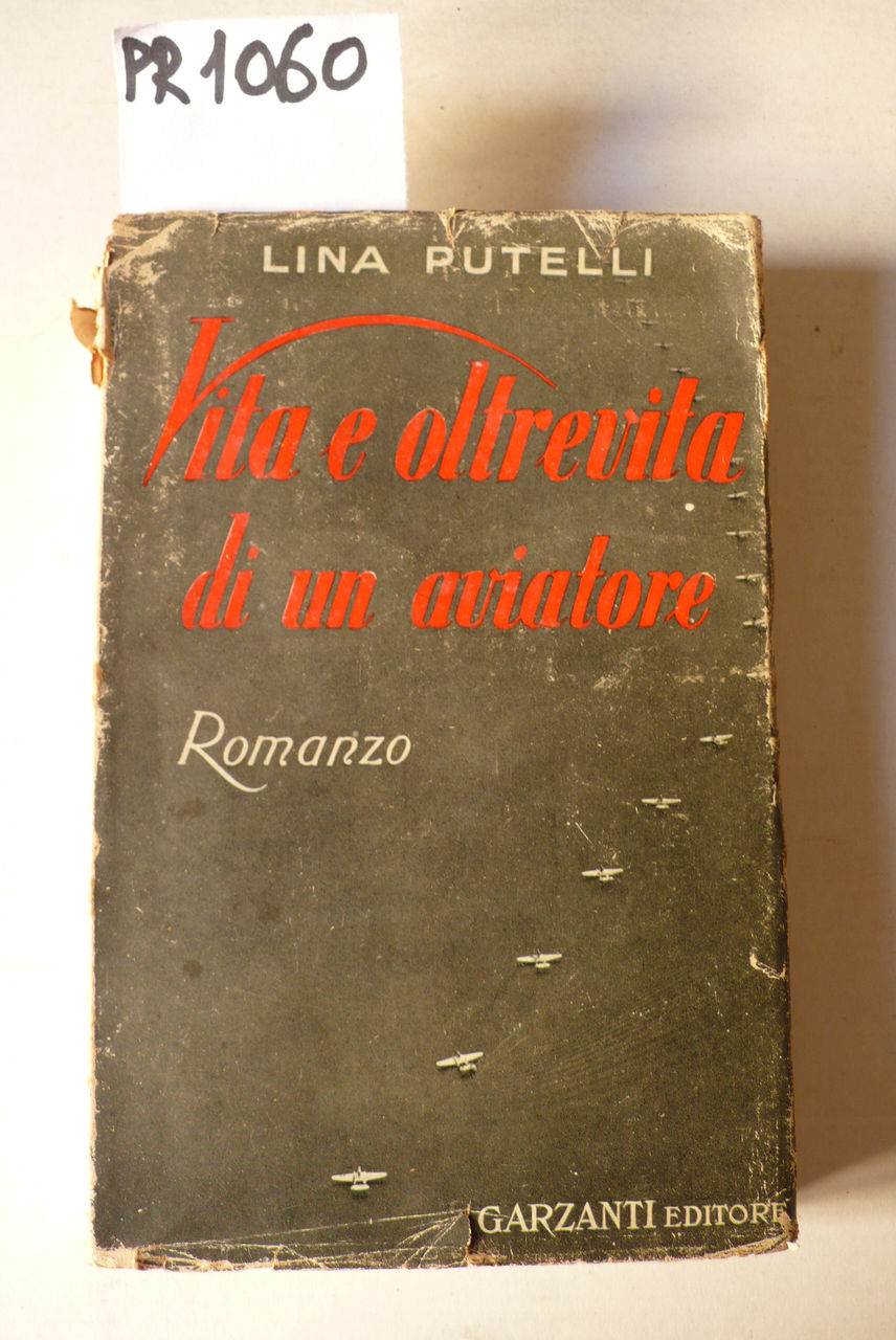 Vita e oltrevita di un aviatore, romanzo