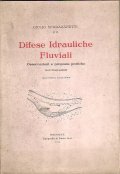 DIFESE IDRAULICHE FLUVIALI- OSSERVAZIONI E PROPOSTE PRATICHE (CON ILLUSTRAZIONI)