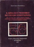 IL SEPOLCRETO PREISTORICO DEL COGNARO DI MONTAGNANA