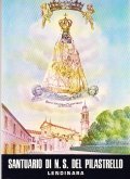 GUIDA STORICO ARTISTICA DEL SANTUARIO DI N.S. DEL PILASTRELLO- TERZA …