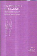 UN PENNINO DI STAGNO