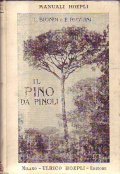 IL PINO DA PINOLI- CULTURA - PRODOTTIU - INDUSTRIE