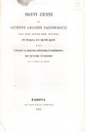 BREVI CENNI DI GIUSEPPE CECCHINI PACCHIEROTTI SULLO STATO ATTUALE DELLE …