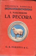 LA PECORA