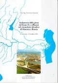 ANDAMENTO DELLA PIENA DEL FIUME PO E AFFLUENTI NEL CIRCONDARIO …