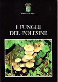 I FUNGHI DEL POLESINE