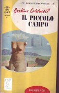 IL PICCOLO CAMPO