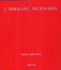 L' IMMAGINE NECESSARIA- ROVIGO DISEGNATA