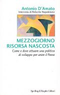 MEZZOGIORNO RISORSA NASCOSTA- COME E DOVE ATTUARE UNA POLITICA DI …