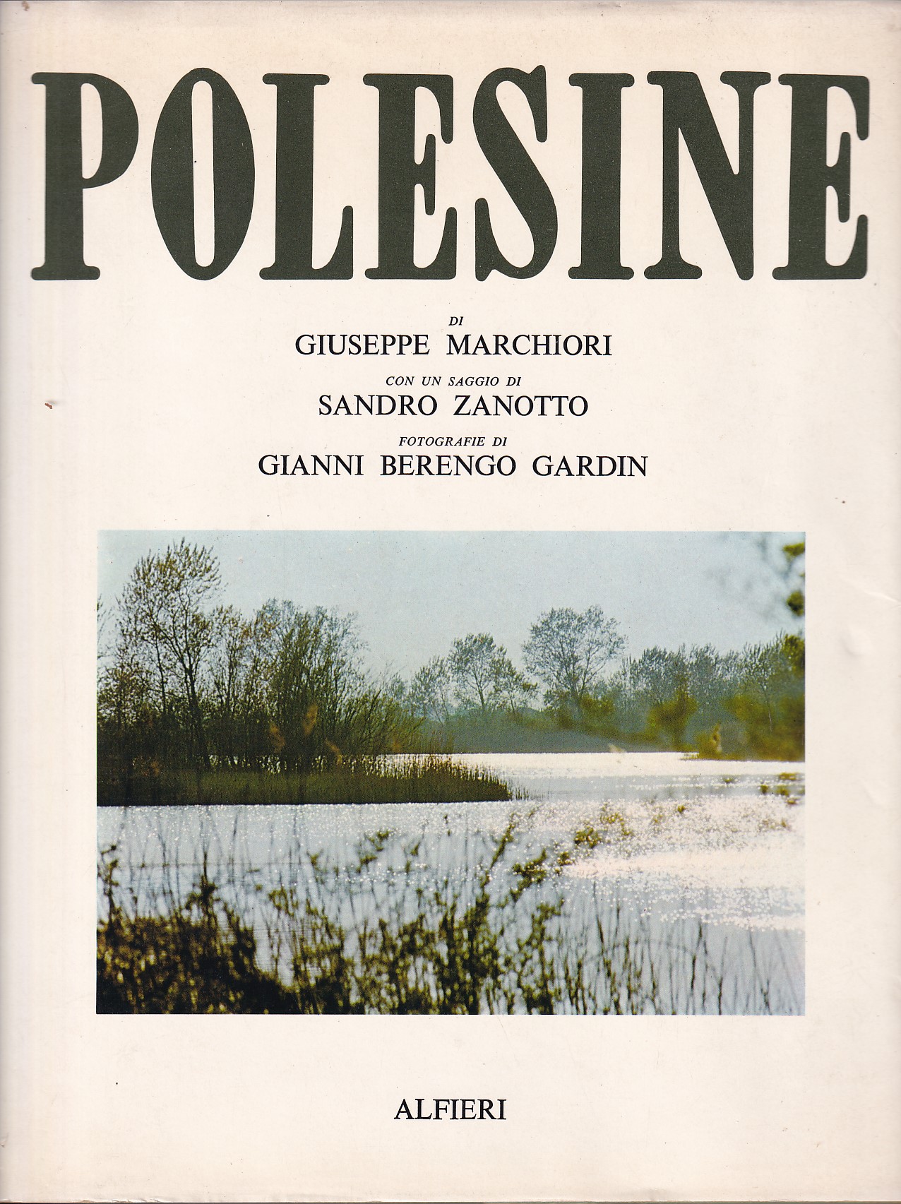 POLESINE - CON UN SAGGIO DI ZANOTTO SANDRO (SAGGIO) - …