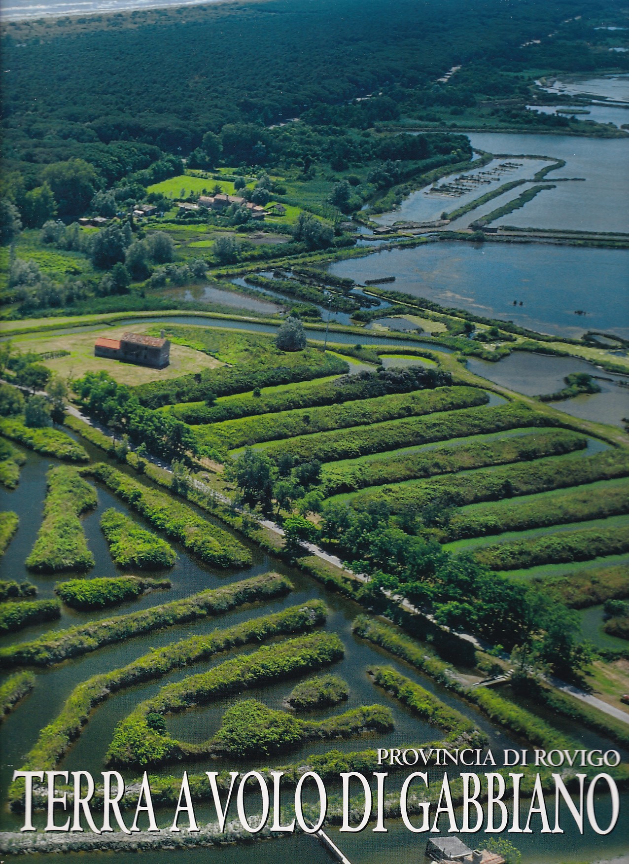 TERRA A VOLO DI GABBIANO - PROVINCIA DI ROVIGO