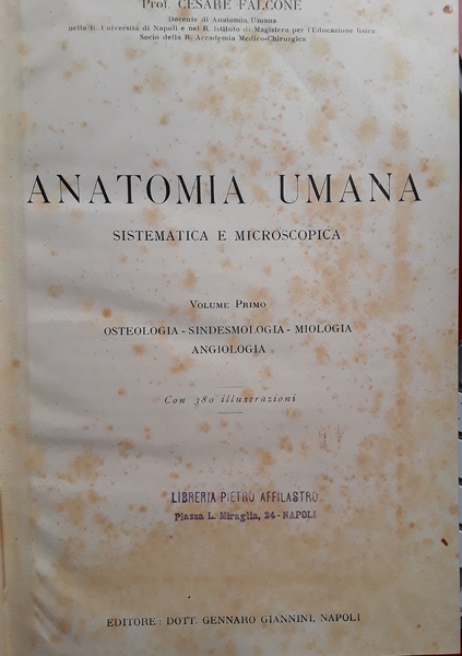 Anatomia umana sistematica e microscopica. Volume 1