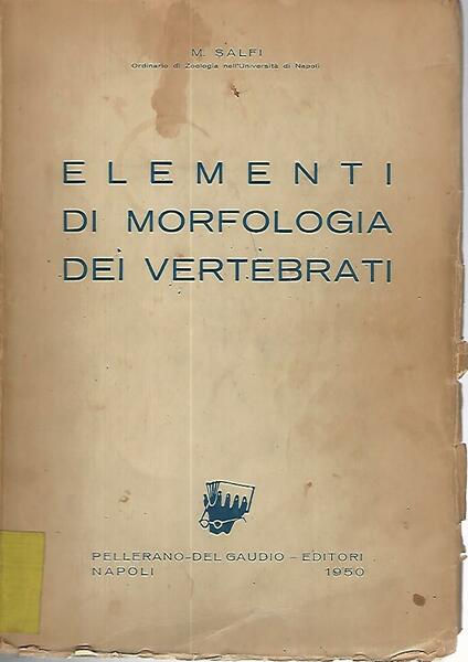 Elementi di morfologia dei vertebrati