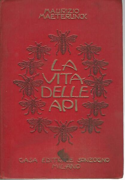 La vita delle api