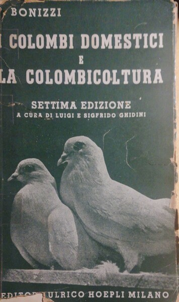 I colombi domestici e la colombicoltura