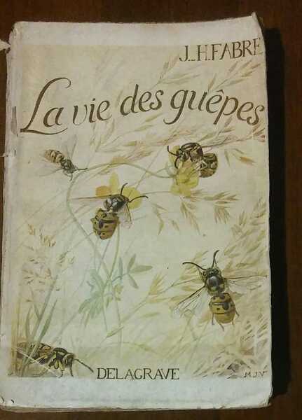 LA VIE DES GUEPES
