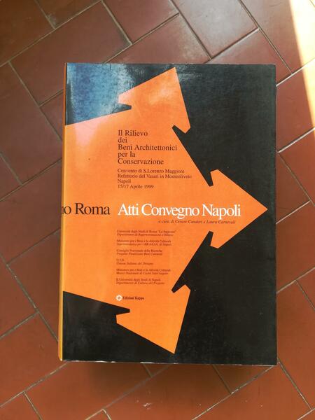 Il rilievo dei beni architettonici per la conservazione. Atti (Napoli)