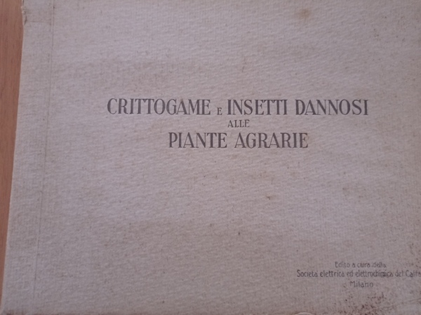 Crittogame e insetti dannosi alle piante agrarie