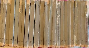 La Bibbia: Vecchi e Nuovo Testamento secondo la volgata