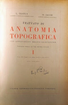 Trattato di Anatomia Topografica con applicazioni Medico-Chirurgiche. Tomo I