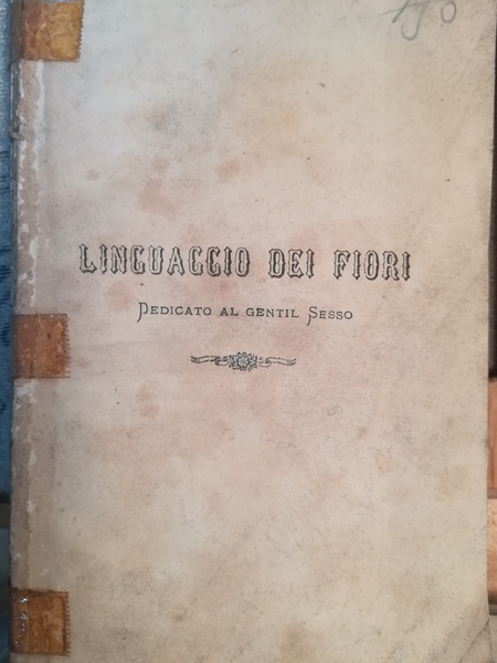 Linguaggio dei fiori dedicato al gentil sesso.