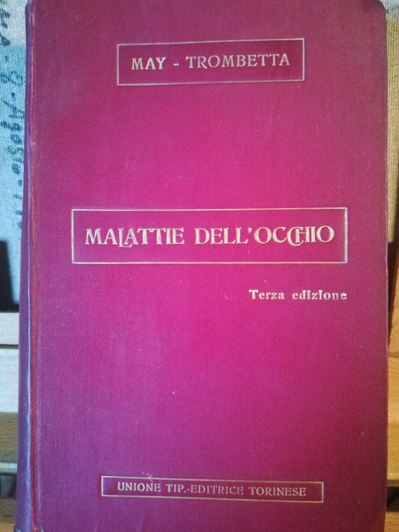 Manuale delle malattie dell'occhio