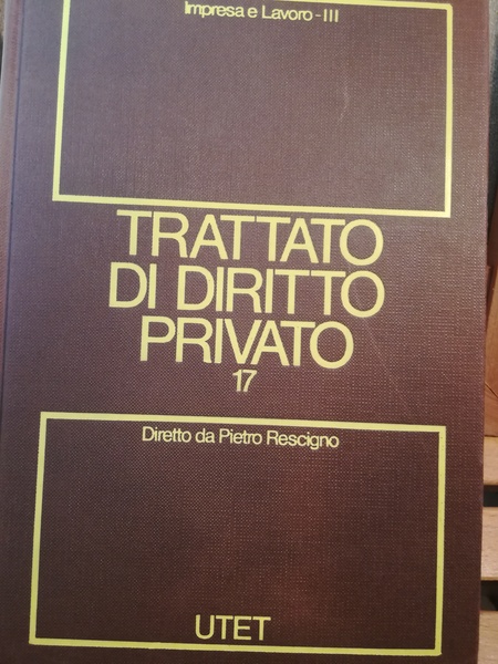 Trattato di diritto privato. 17. Impresa e lavoro. Tomo III.