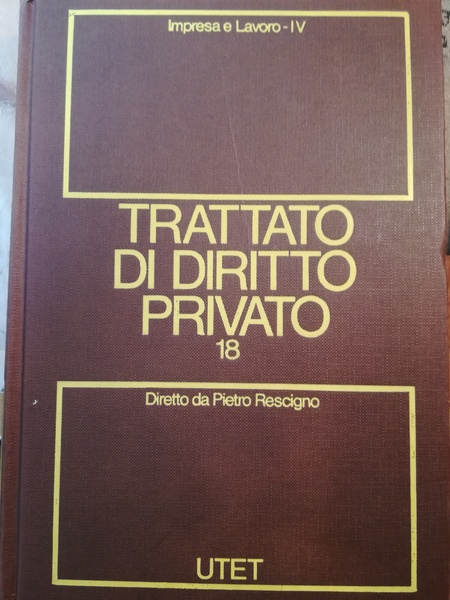 Trattato di diritto privato. 18. Impresa e lavoro. Tomo IV.