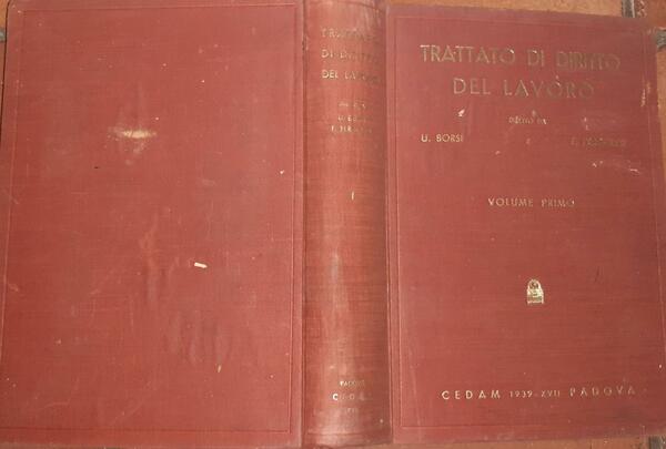 Trattato di diritto del lavoro. Volume primo