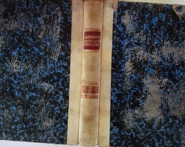 Diritto civile internazionale Volume VII