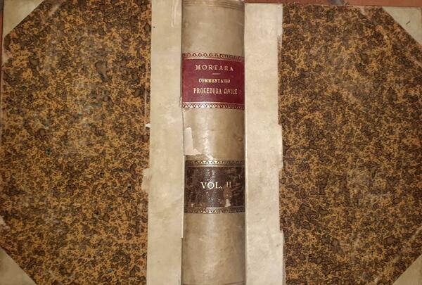 Manuale della procedura civile Volume II