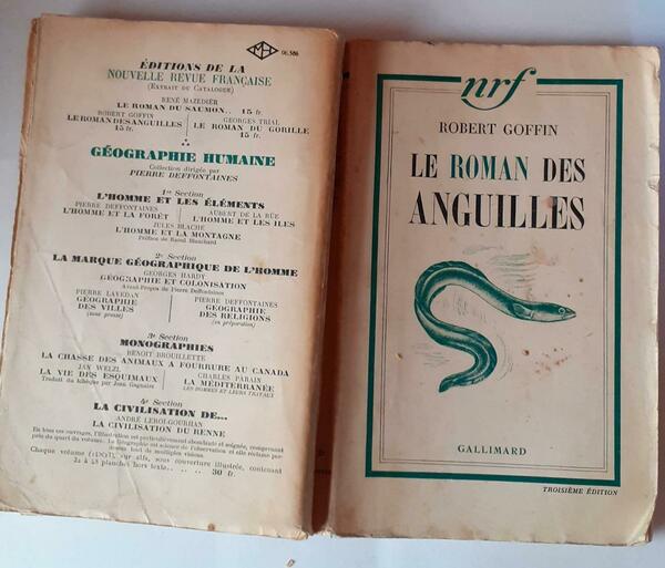 Le roman des anguilles