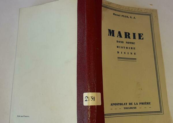 Marie dans notre histoire divine