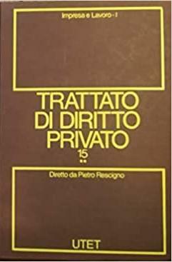 Trattato di diritto privato (Vol. 15) tomo 2