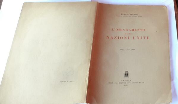 L'Ordinamento delle Nazioni Unite