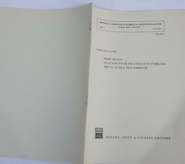 Primi rilievi sulle strutture organizzative pubbliche per la tutela dell'ambiente