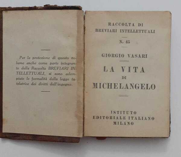 La vita di Michelangelo