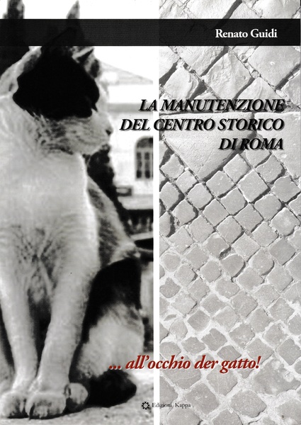 La manutenzione del centro storico di Roma...all'occhio der gatto!