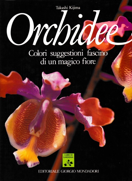 Orchidee